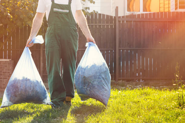 Best Electronics Removal Services  in Ragland, AL